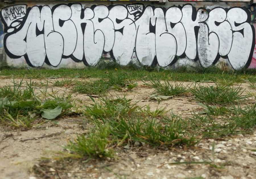 IMG_20150511_142730~01