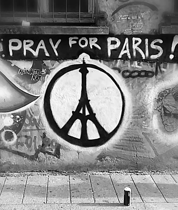 12241492_1668072056767140_6592693135558615043_n