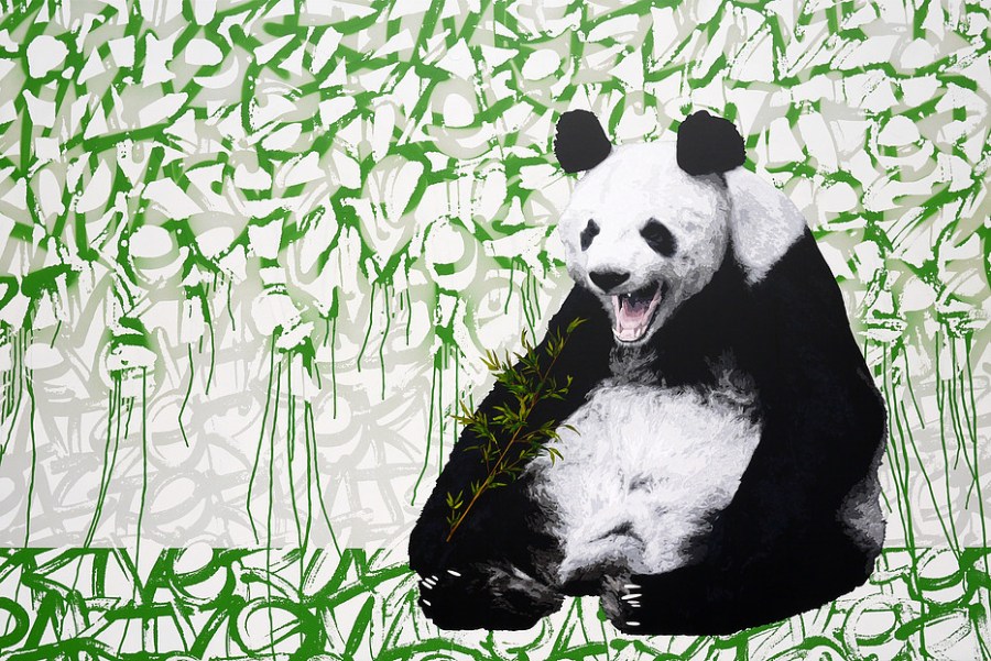 c89215_97af429c1843445783d729e652557af8