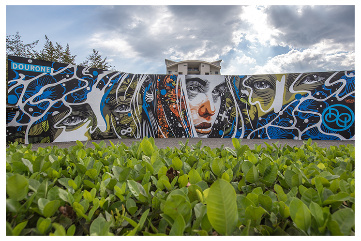 d1cc4b29-bf1c-4ce2-a3d6-eb9ad1b7f579