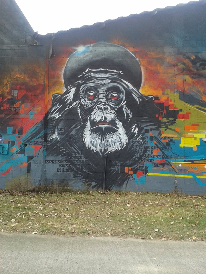 14369927_1173192159415379_7842435176707761790_n