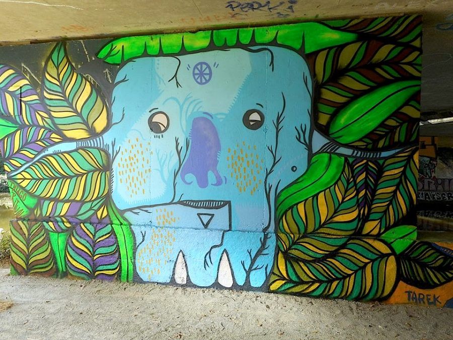 14494783_10206994144958921_4133335240659975207_n