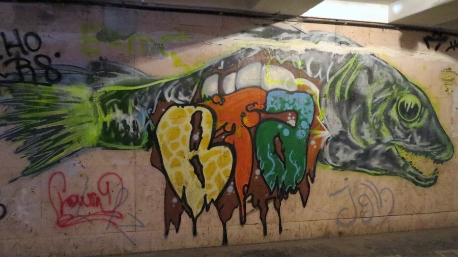 15681738_10208889622130311_1699862813_o