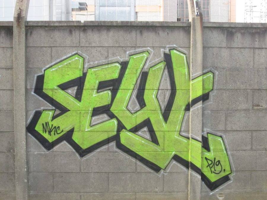 15969839_232814253841138_369330988_n