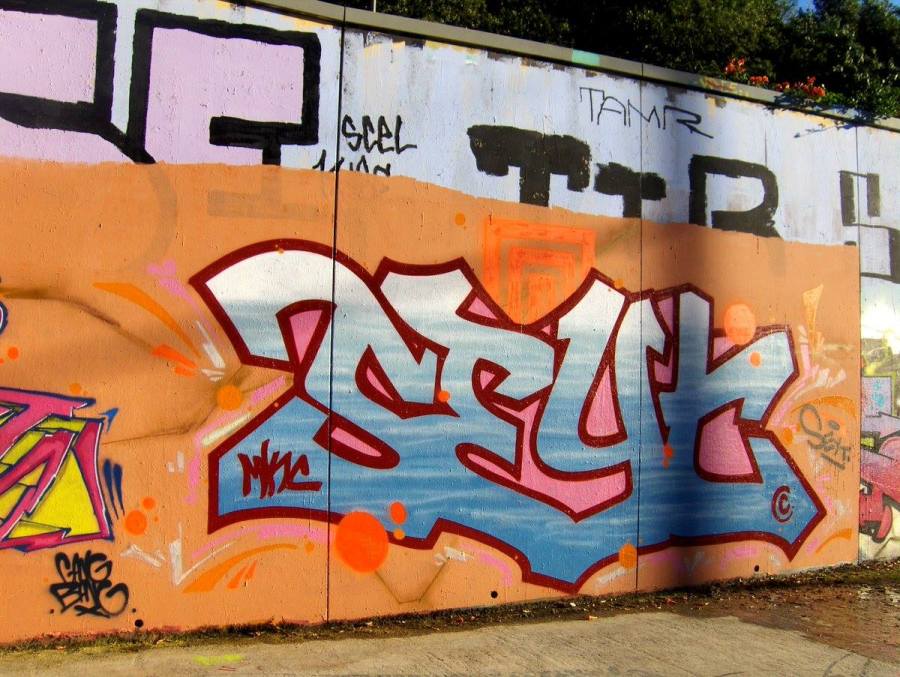 15992099_232812393841324_149950433_o