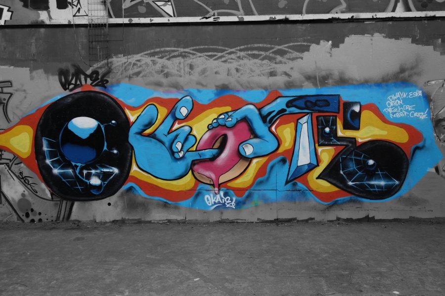 17693225_891215477713666_57885961_o