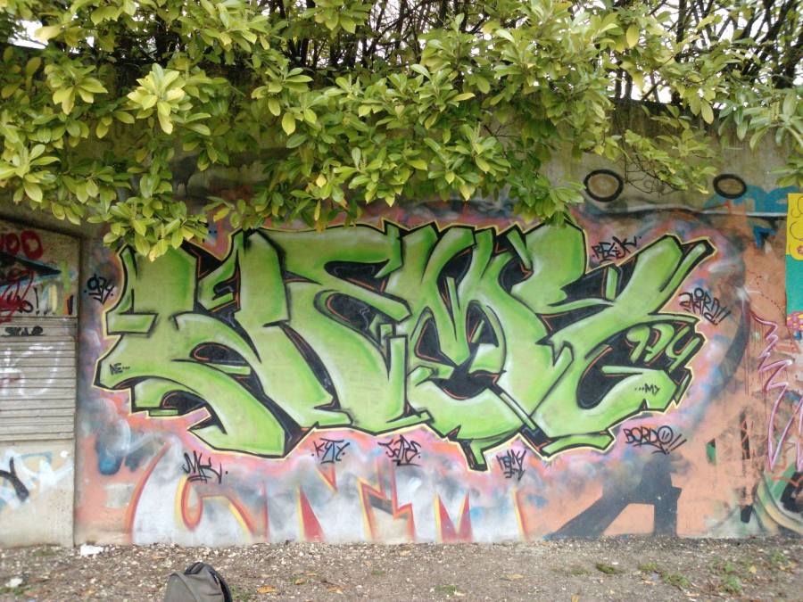 17547405_10158396205920331_299080427_o