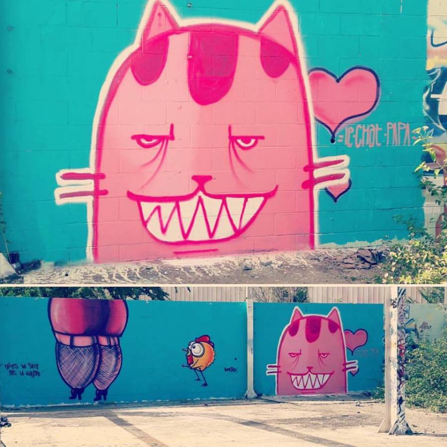 © Le Chat Papa x CEET