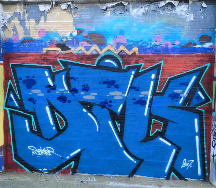 21617505_2387484231477629_7785401748995145926_n