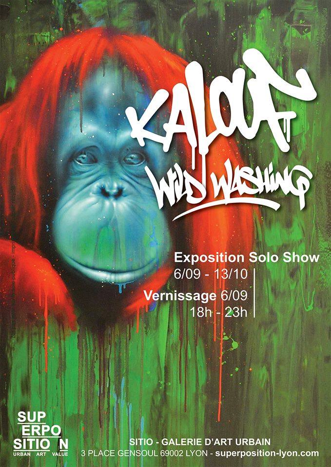 40940631_10156158162813813_3708854347728158720_n