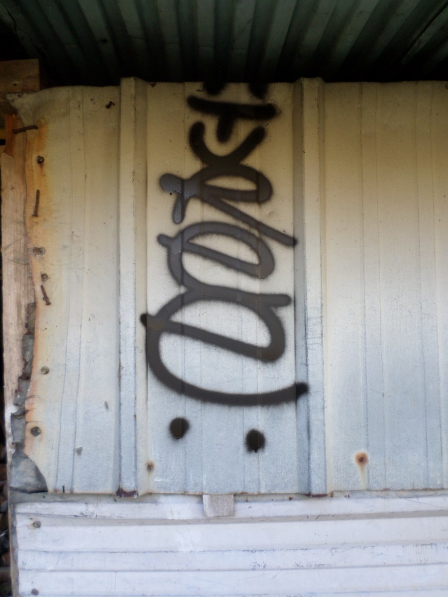 SAMSUNG CAMERA PICTURES