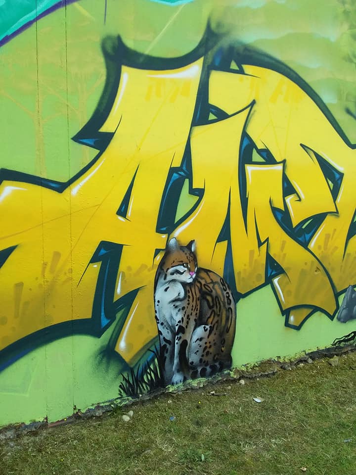 67735423_3157567854285335_6433360327890436096_n