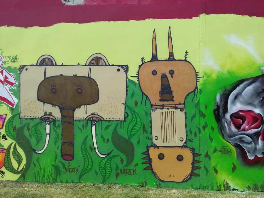 67743879_3157522727623181_2022302466766274560_n