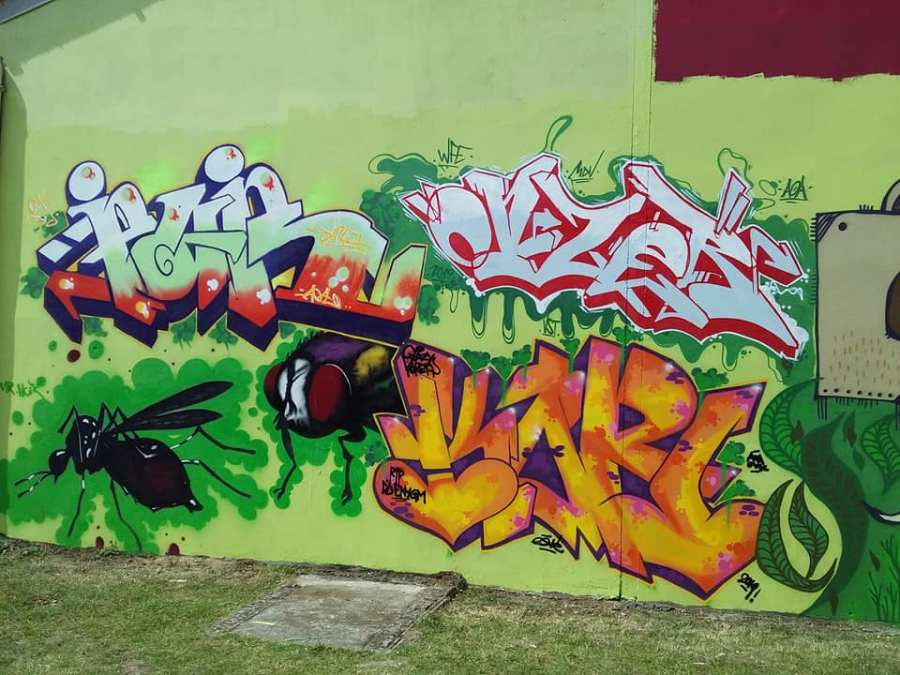 67891419_3157522877623166_1262543174673367040_n