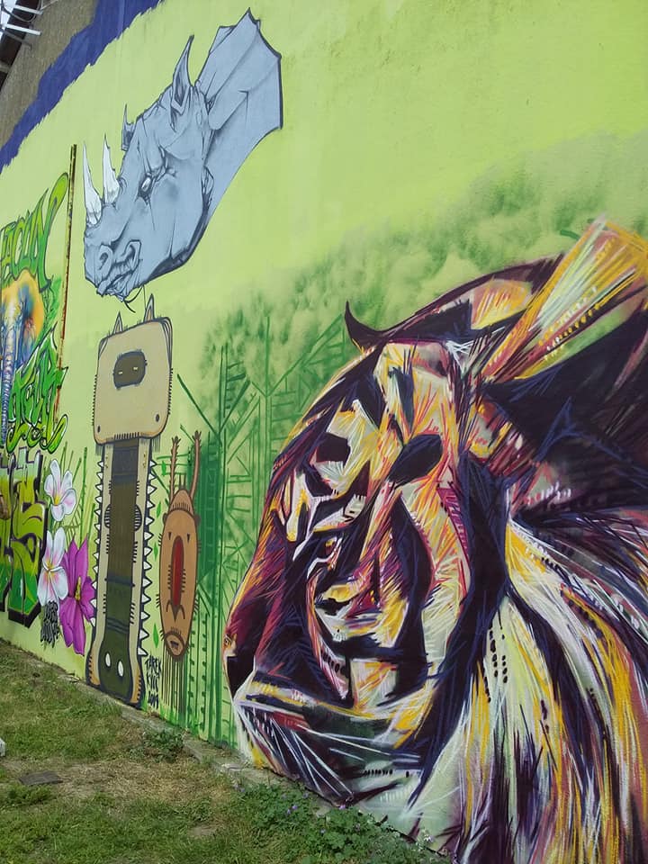 67921975_3157570694285051_139915066542653440_n