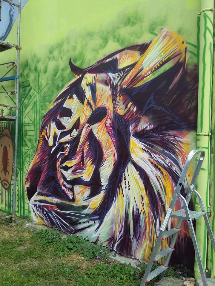 68249995_3157569404285180_6646482257294917632_n