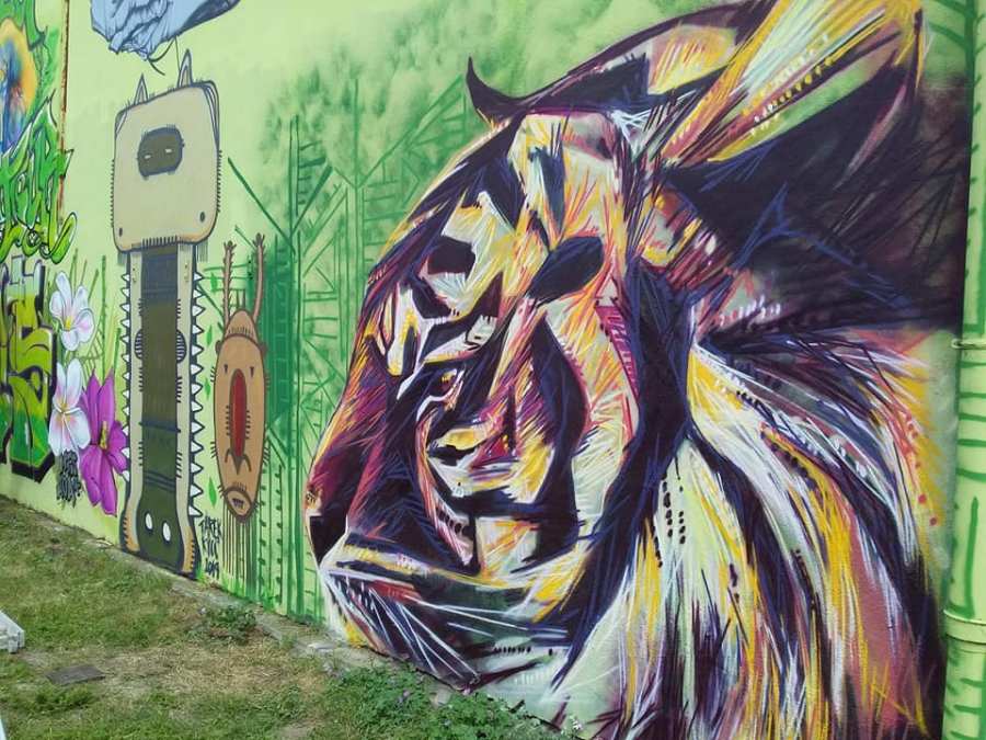 68317268_10220204076591823_2024385023393660928_n