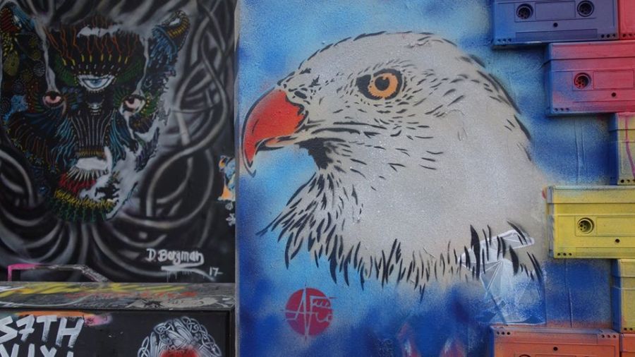 25439904_2225742540785245_6938826943646220204_o