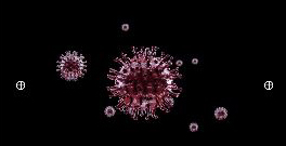 bamcontent paris tonkar 7