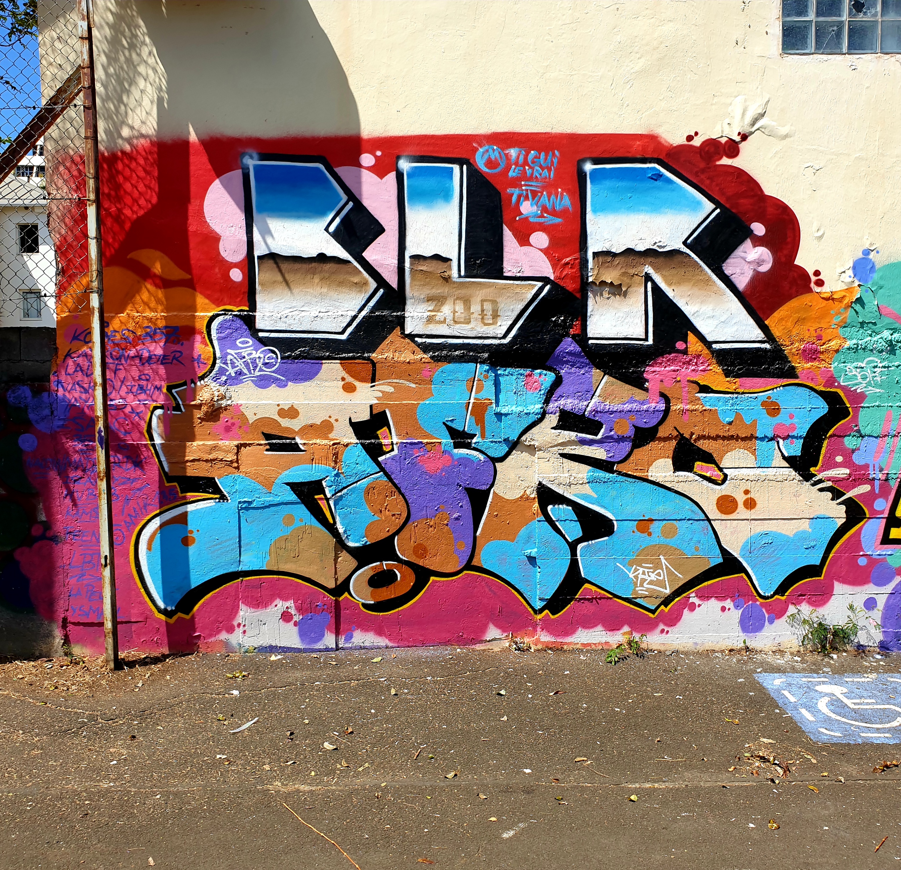 AFRO l 100% GRAFFITI, 100% VANDALE – PARiS TONKAR WebZiNE, image size:3106x2997